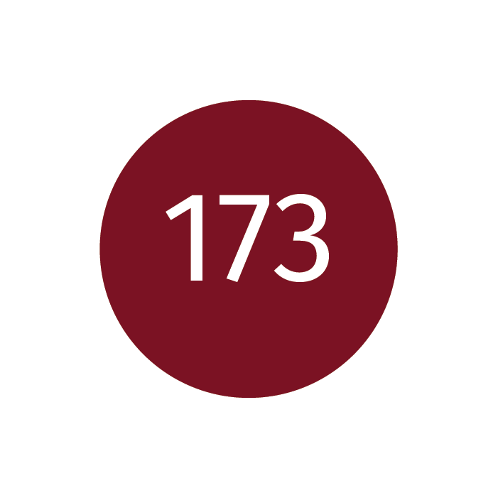 YUMI 173 NAIL POLISH
