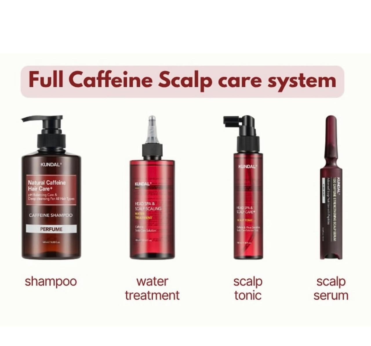 KUNDAL FULL CAFFEINE SCALP CARE SYSTEM