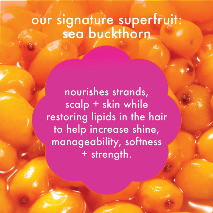 AMIKA SIGNATURE SAVIORS ESSENTIALS TRIAL SET
